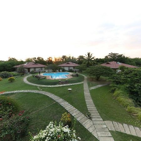 Hibiscus Garden Hotel 티사마하라마 외부 사진
