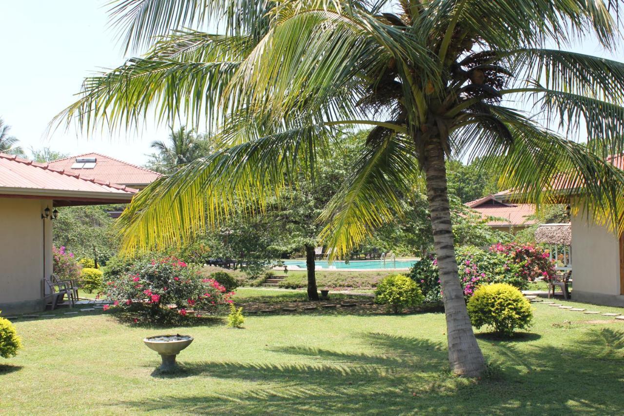Hibiscus Garden Hotel 티사마하라마 외부 사진