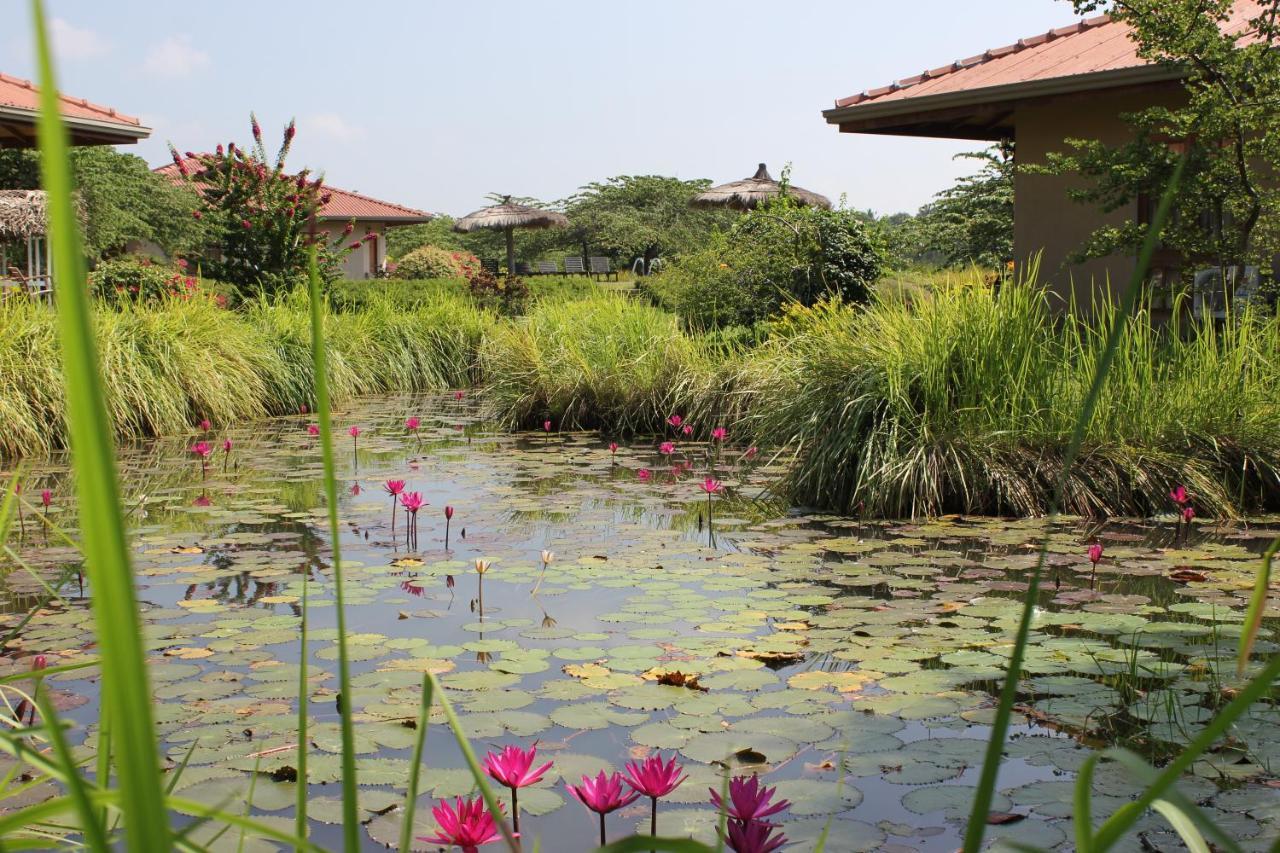 Hibiscus Garden Hotel 티사마하라마 외부 사진