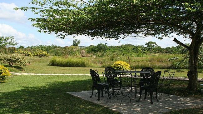 Hibiscus Garden Hotel 티사마하라마 시설 사진