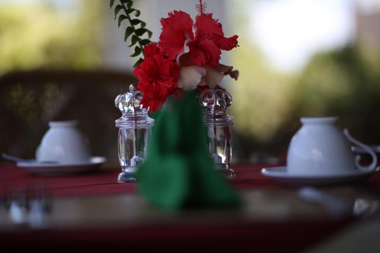 Hibiscus Garden Hotel 티사마하라마 외부 사진